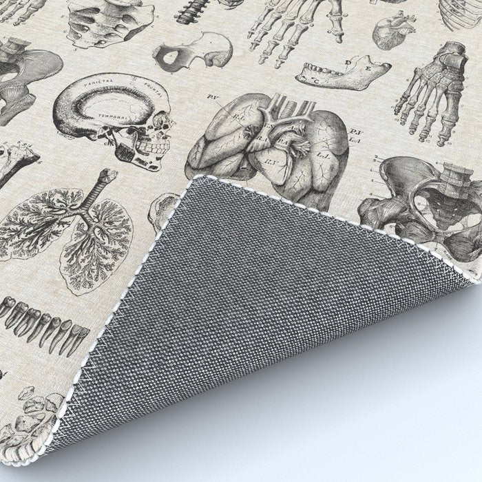 Human Anatomy Rug Gallery Image 4