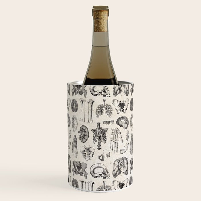 Human Anatomy Wine Chiller Gallery Image 1