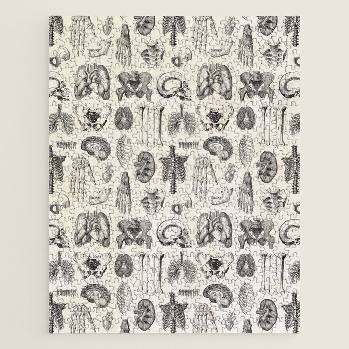 Human Anatomy Jigsaw Puzzle Gallery Image 1