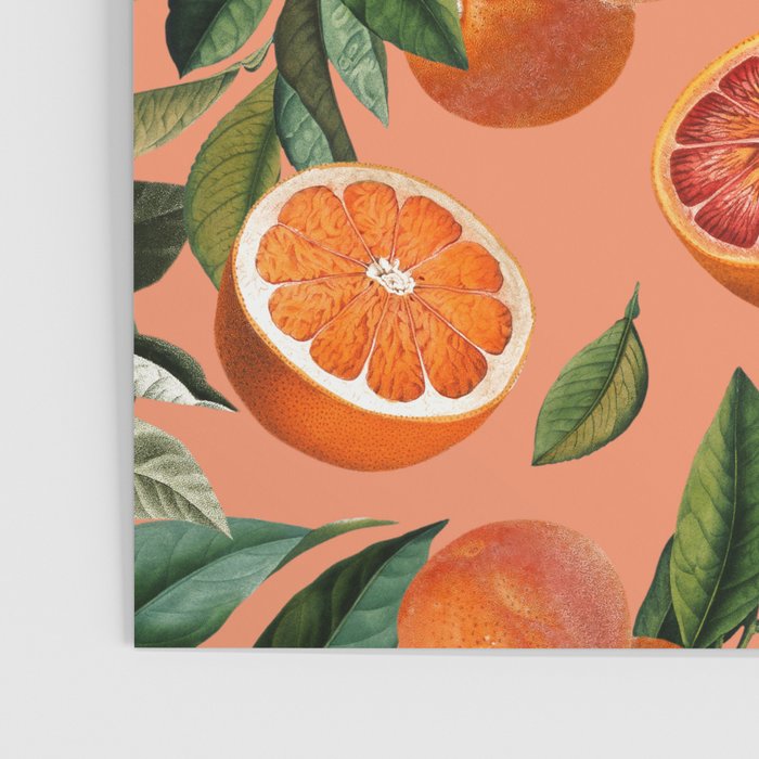 Vintage Fruit Pattern XII Poster Gallery Image 3