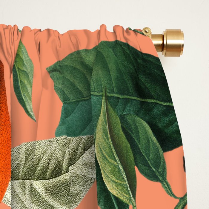 Vintage Fruit Pattern XII Window Curtain Gallery Image 2