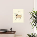 Anatomy of a Pug Poster Gallery Image 2