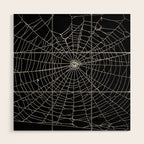 Spider Spider Web Wood Wall Art Gallery Image 1
