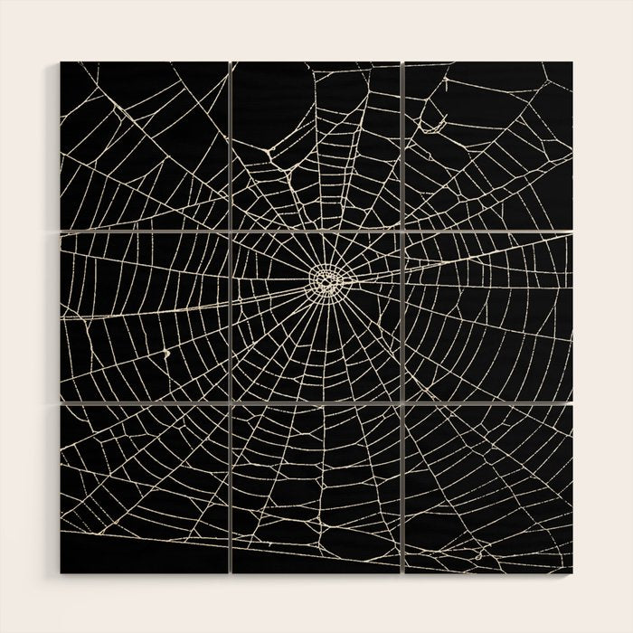 Spider Spider Web Wood Wall Art Gallery Image 1
