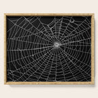 Spider Spider Web Serving Tray Gallery Image 1