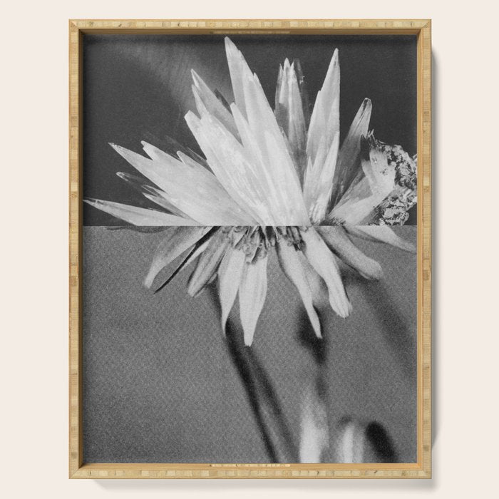 Paired Frames - Flower  Serving Tray Gallery Image 1
