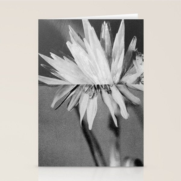 Paired Frames - Flower  Stationery Card Gallery Image 1
