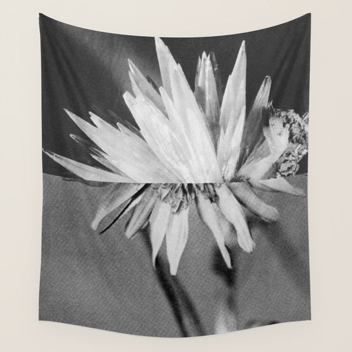 Paired Frames - Flower  Wall Tapestry Gallery Image 1