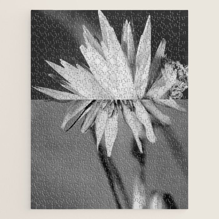 Paired Frames - Flower  Jigsaw Puzzle Gallery Image 1