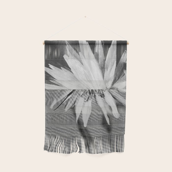 Paired Frames - Flower  Wall Hanging Gallery Image 1