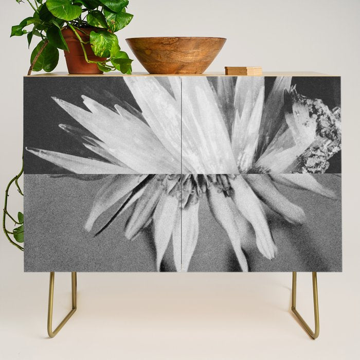 Paired Frames - Flower  Credenza Gallery Image 1