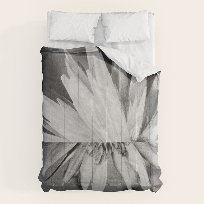 Paired Frames - Flower  Comforter Gallery Image 6