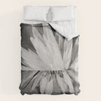 Paired Frames - Flower  Comforter Gallery Image 6