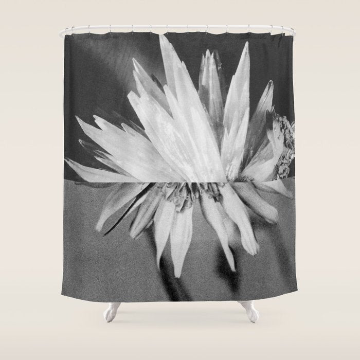 Paired Frames - Flower  Shower Curtain Gallery Image 1