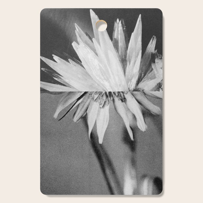 Paired Frames - Flower  Cutting Board Gallery Image 1