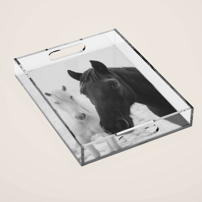 Horses in the Snow - Black and White Winter Photography Print Acrylic Tray Gallery Image 1
