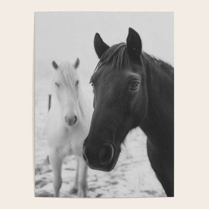 Horses in the Snow - Black and White Winter Photography Print Poster Gallery Image 1