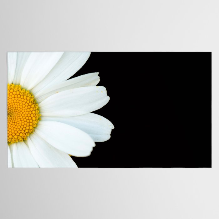 Hello Daisy - White Flower Black Background #decor #society6 #buyart Tablecloth Gallery Image 2