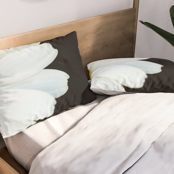Hello Daisy - White Flower Black Background #decor #society6 #buyart Pillow Sham Gallery Image 2