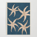 Starfish Harmony 4 Poster Gallery Image 4