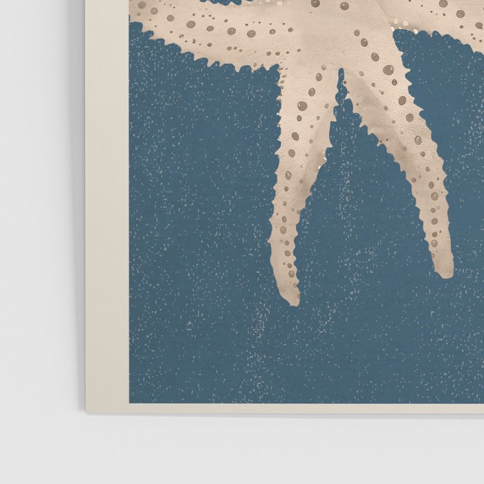 Starfish Harmony 4 Poster Gallery Image 3
