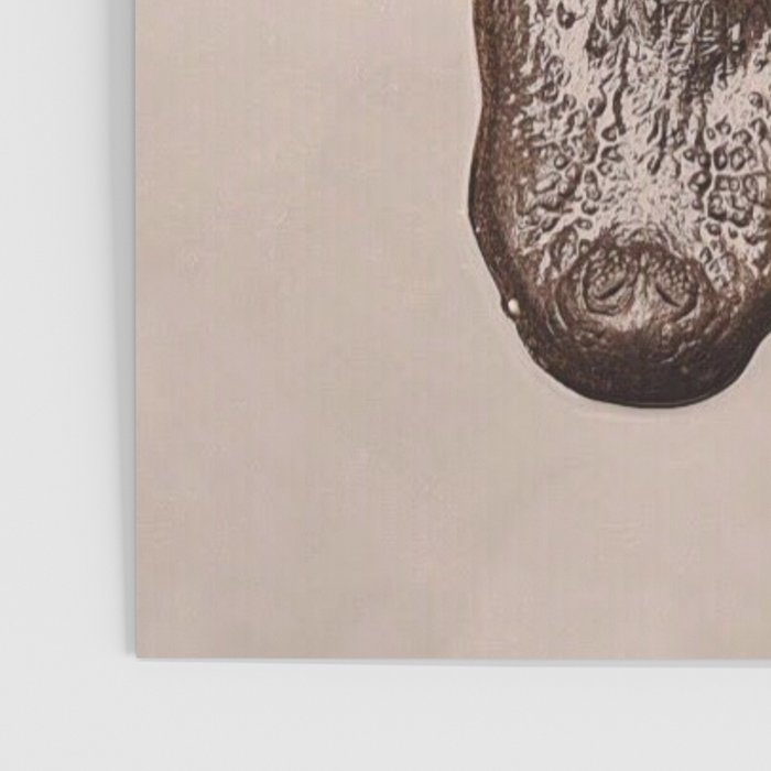 The Swamp Poster Gallery Image 3