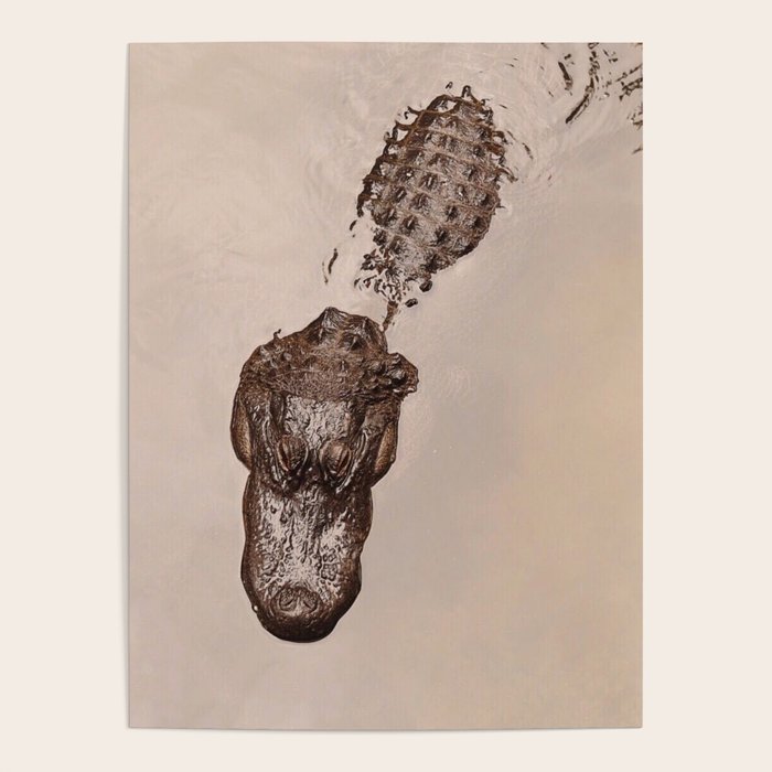 The Swamp Poster Gallery Image 4