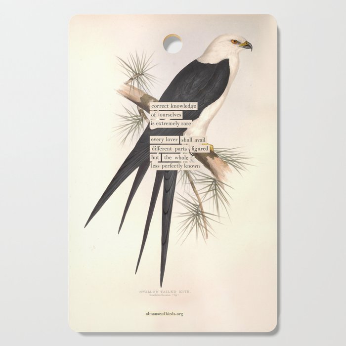 Bird Divinations: Swallow-Tailed Kite (about: almanacofbirds.org) Cutting Board Gallery Image 1