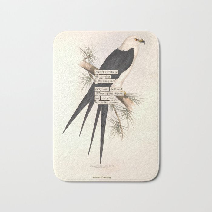 Bird Divinations: Swallow-Tailed Kite (about: almanacofbirds.org) Bath Mat Gallery Image 1