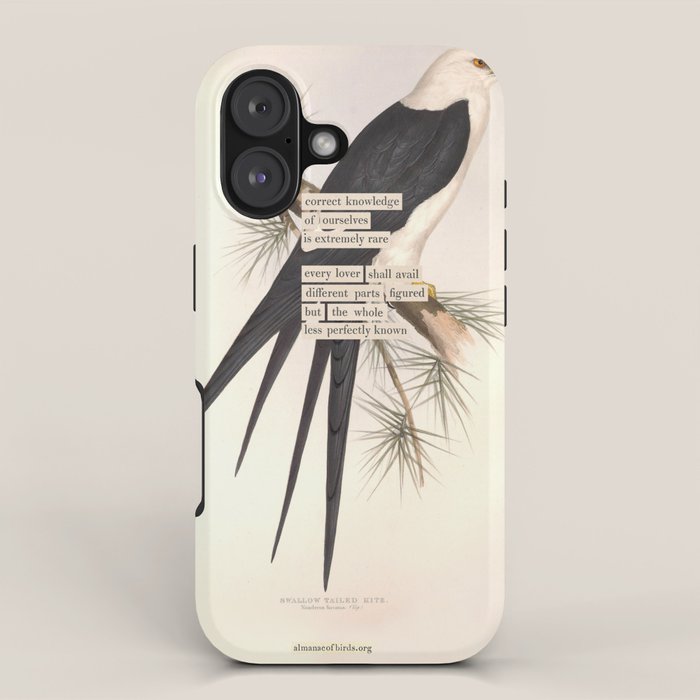 Bird Divinations: Swallow-Tailed Kite (about: almanacofbirds.org) iPhone Case Gallery Image 1