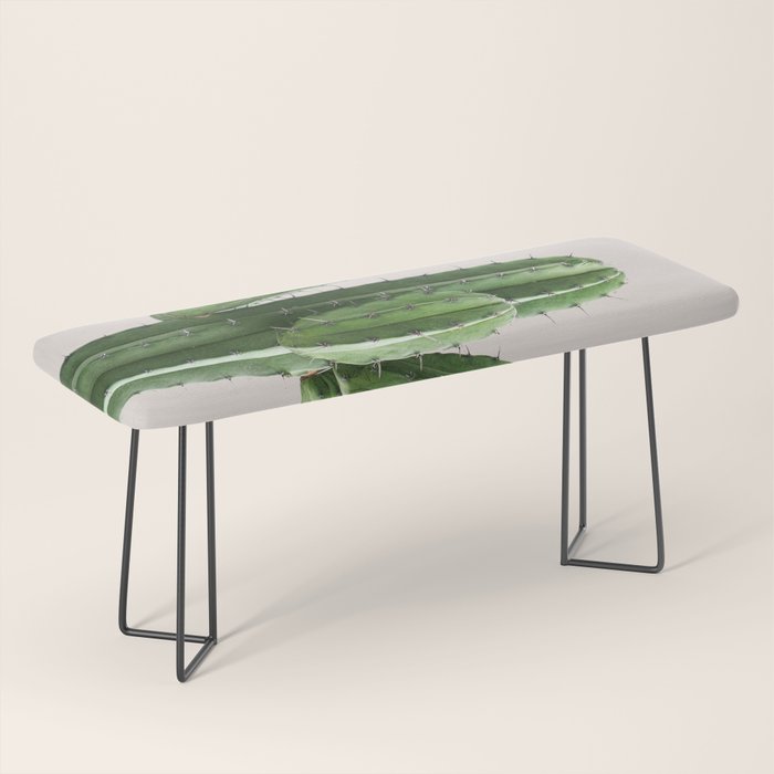 Cactus 4 Bench Gallery Image 1
