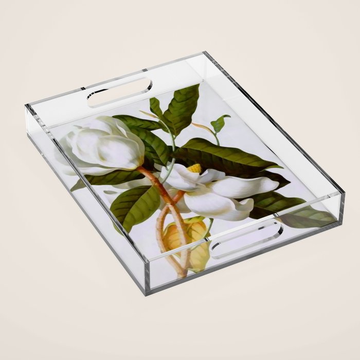 Vintage Botanical White Magnolia Flower Art Acrylic Tray Gallery Image 1