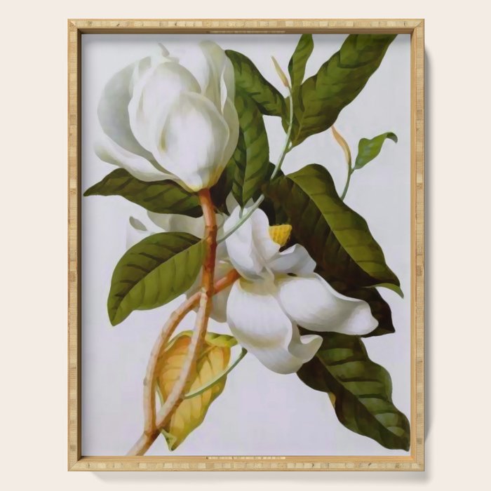 Vintage Botanical White Magnolia Flower Art Serving Tray Gallery Image 1