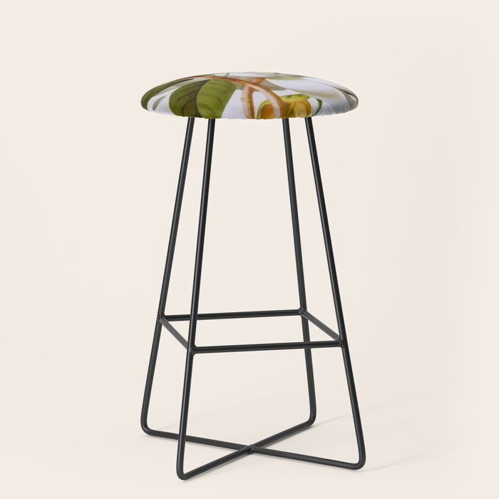 Vintage Botanical White Magnolia Flower Art Stool Gallery Image 1