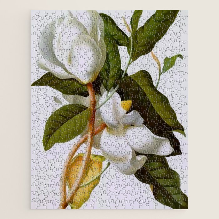 Vintage Botanical White Magnolia Flower Art Jigsaw Puzzle Gallery Image 1