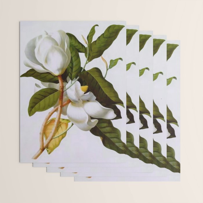 Vintage Botanical White Magnolia Flower Art Wrapping Paper Gallery Image 3