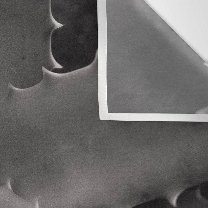 Serrated - Modern Black and White Botanical Wall Tapestry Gallery Image 3