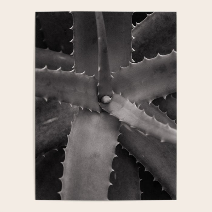 Serrated - Modern Black and White Botanical Poster Gallery Image 4