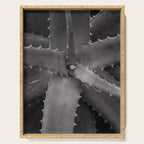 Serrated - Modern Black and White Botanical Serving Tray Gallery Image 1