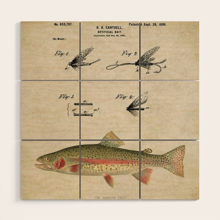 Vintage Rainbow Trout Fly Fishing Lure Patent Game Fish Identification Chart Wood Wall Art Gallery Image 1