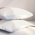 A house plant / Still life Pillow Sham Gallery Image 3