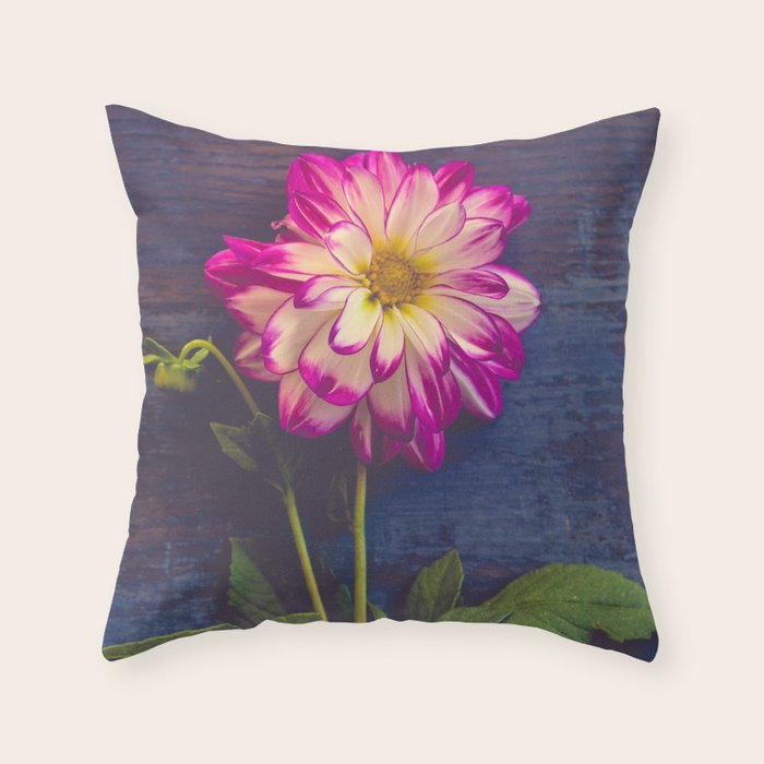 Single Throw Pillow Gallery Image 6