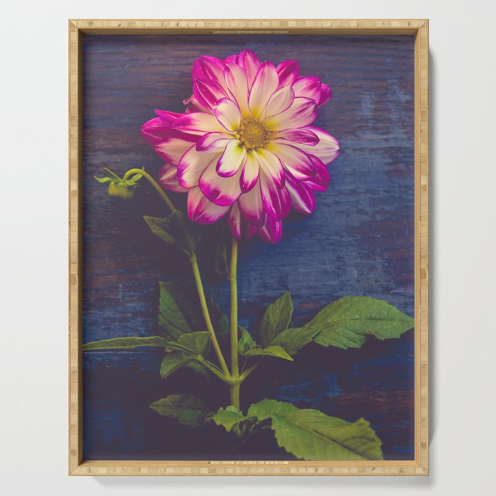 Single Serving Tray Gallery Image 1