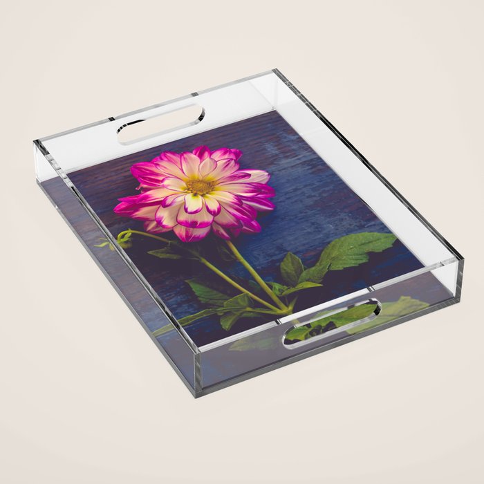 Single Acrylic Tray Gallery Image 1