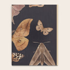 Night butterflies 2 Notebook Gallery Image 4