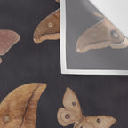Night butterflies 2 Wall Tapestry Gallery Image 3