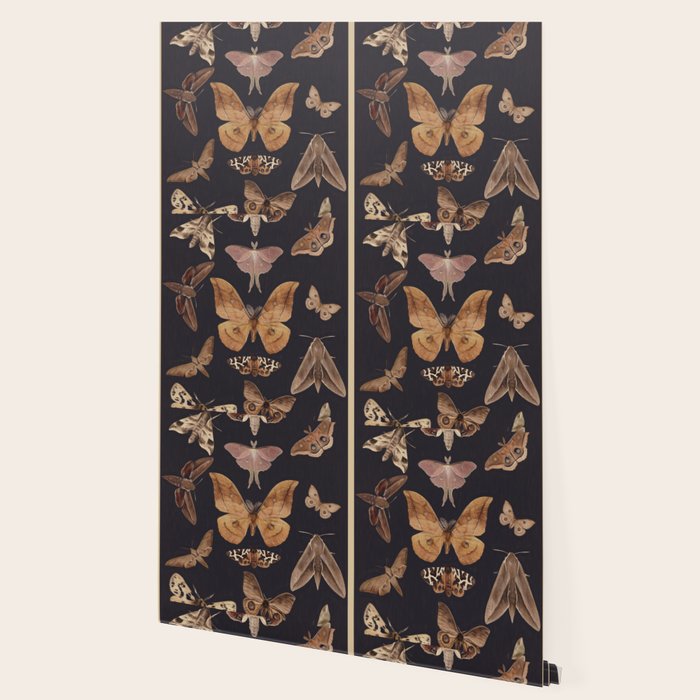 Night butterflies 2 Wallpaper Gallery Image 2