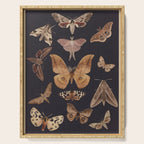 Night butterflies 2 Serving Tray Gallery Image 1