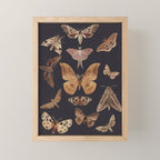 Night butterflies 2 Mini Art Print Gallery Image 1