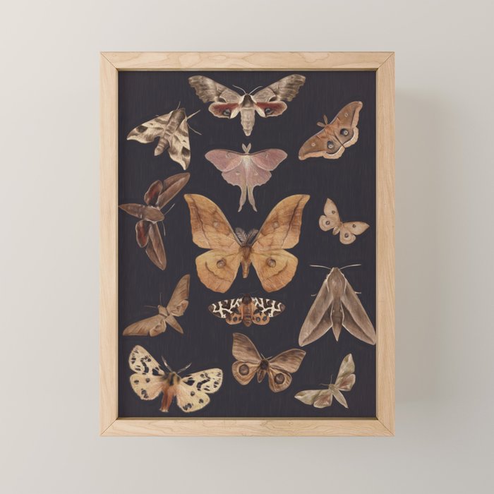 Night butterflies 2 Mini Art Print Gallery Image 1